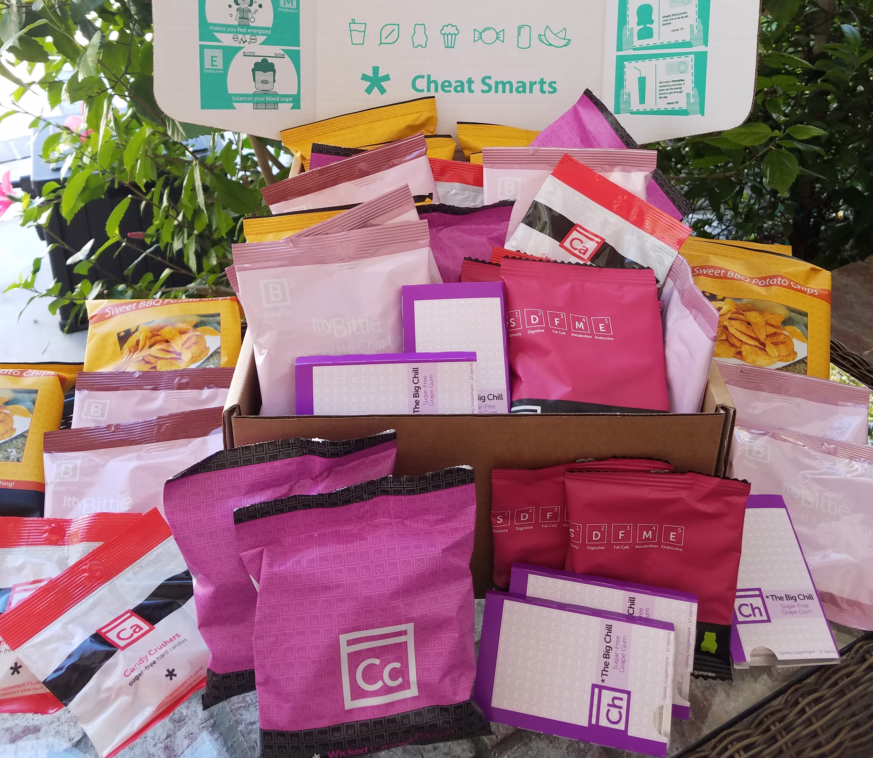 30 Ct Cheat Smart Snack Pack