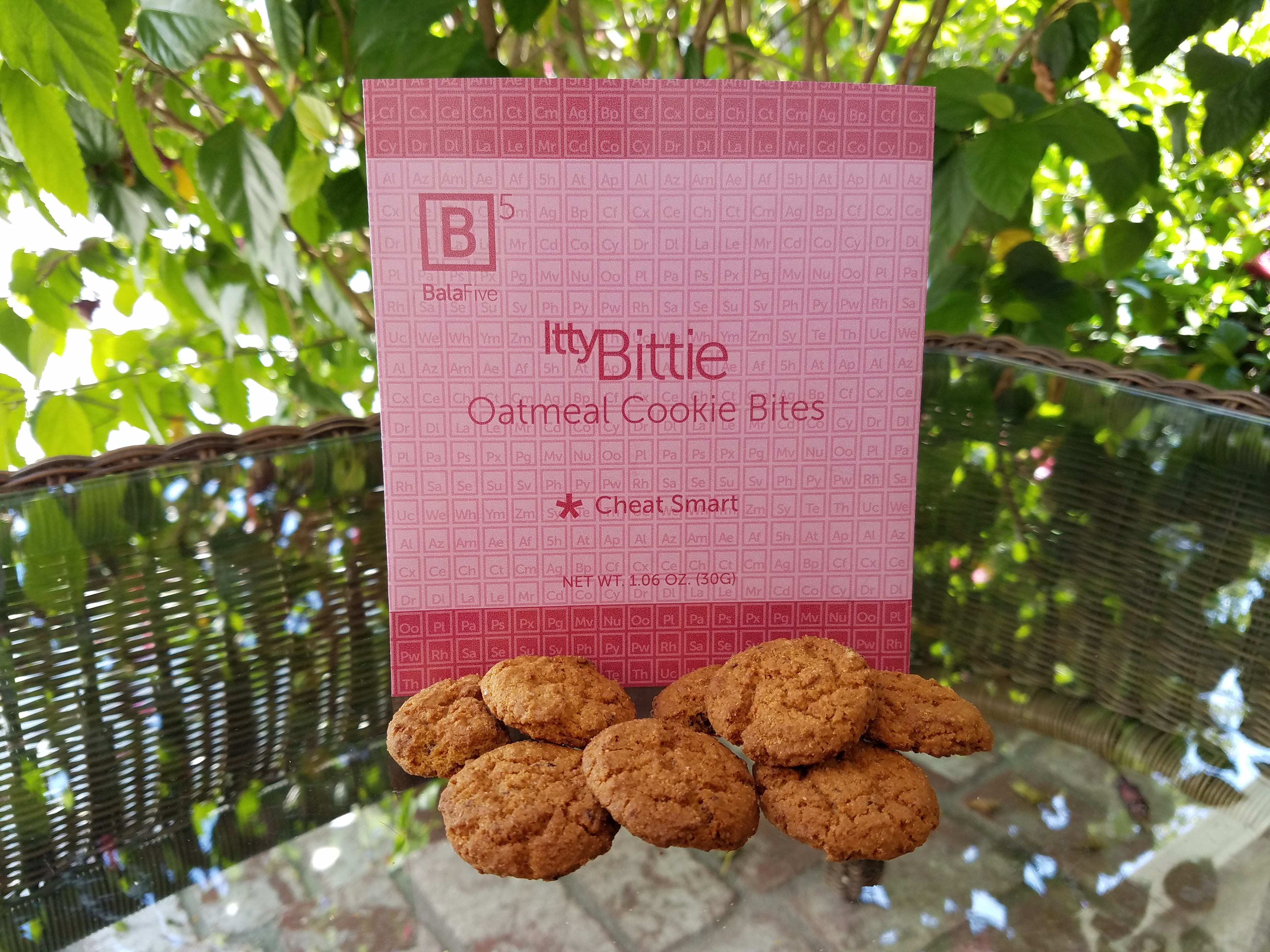 Oatmeal Cookie Bites
