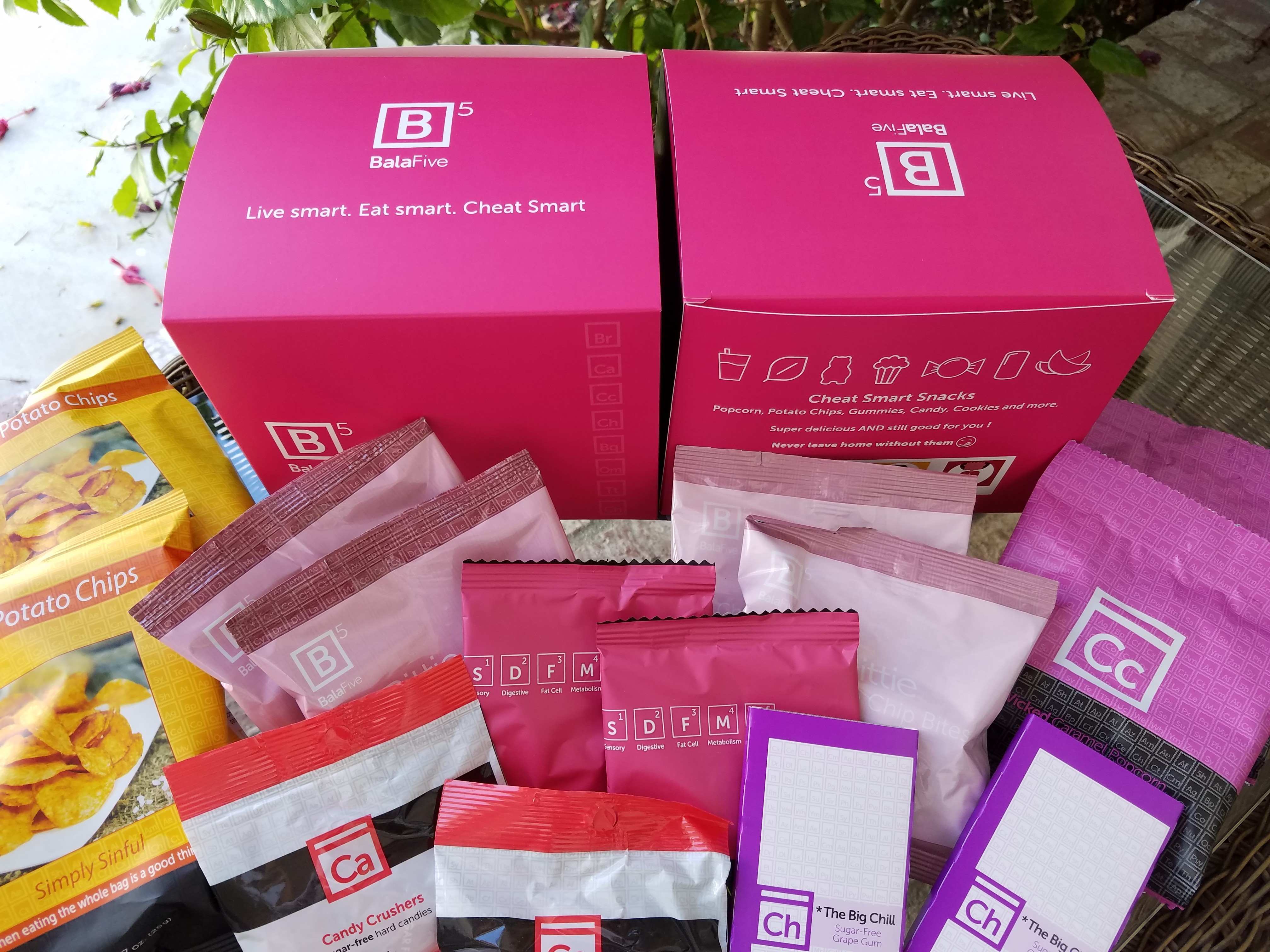 15 Ct Cheat Smart Snack Pack