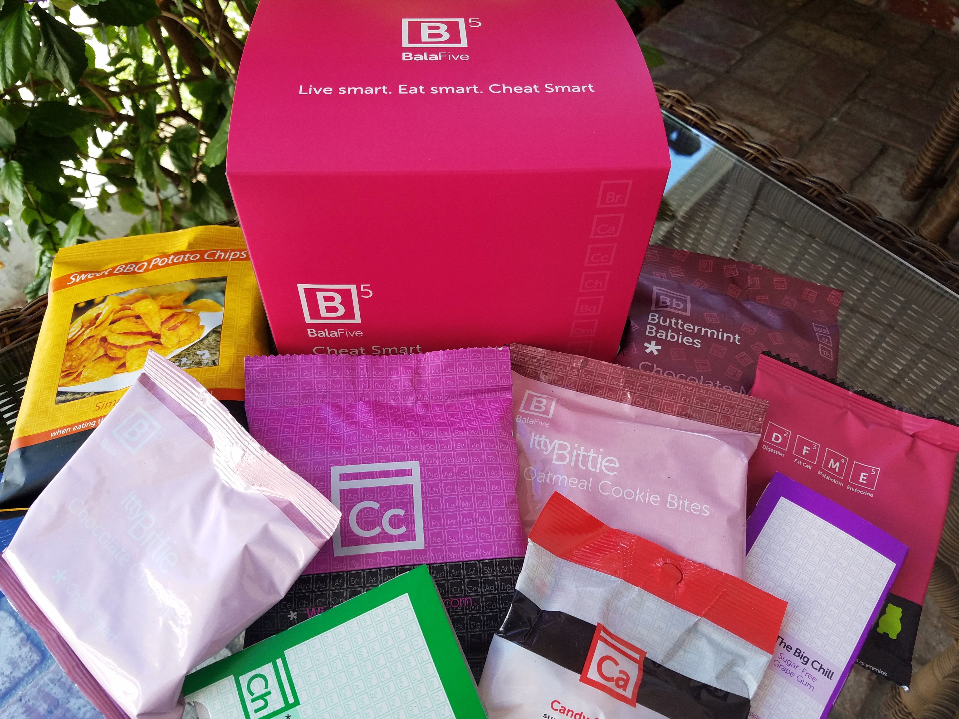 Cheat Smart Snacks Sampler Pack