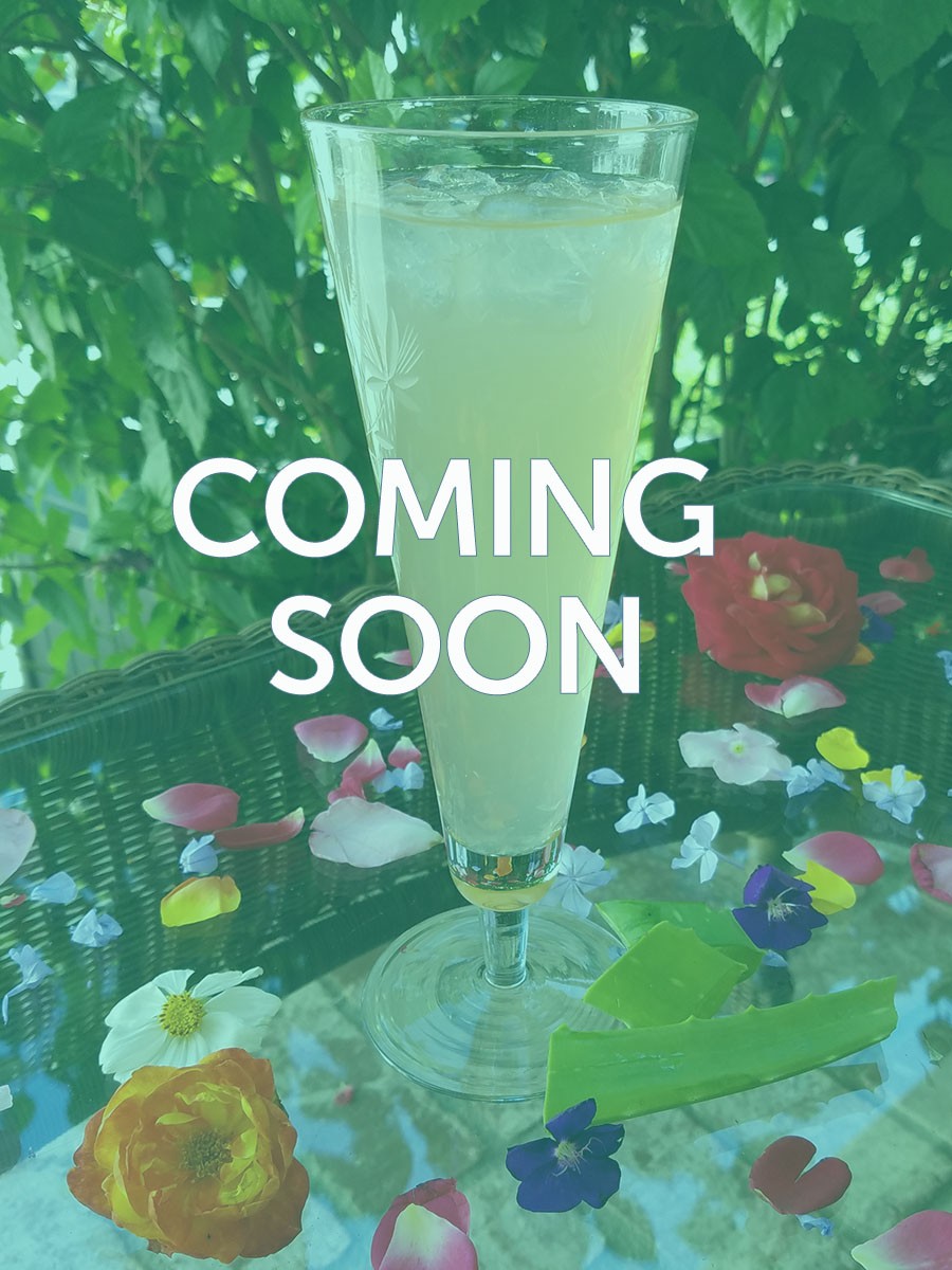 Aloe for Weight Management