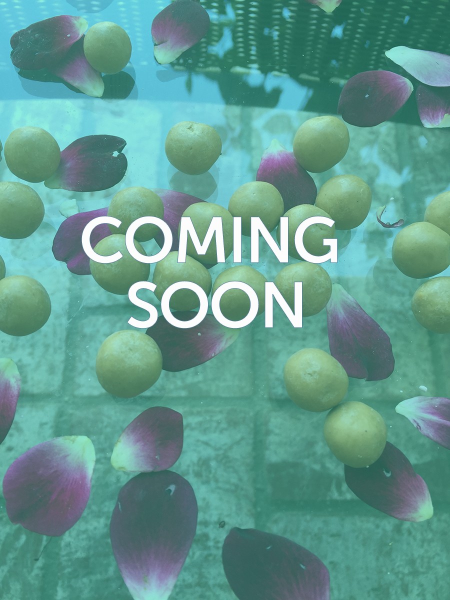 Peanut Butter Protein Bites