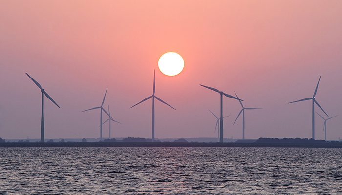 windmills 001