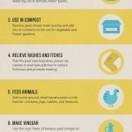10 Things To Do with Banana Peels
