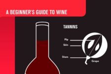 A Beginner's Guide to Wine