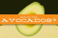 All About Avocados