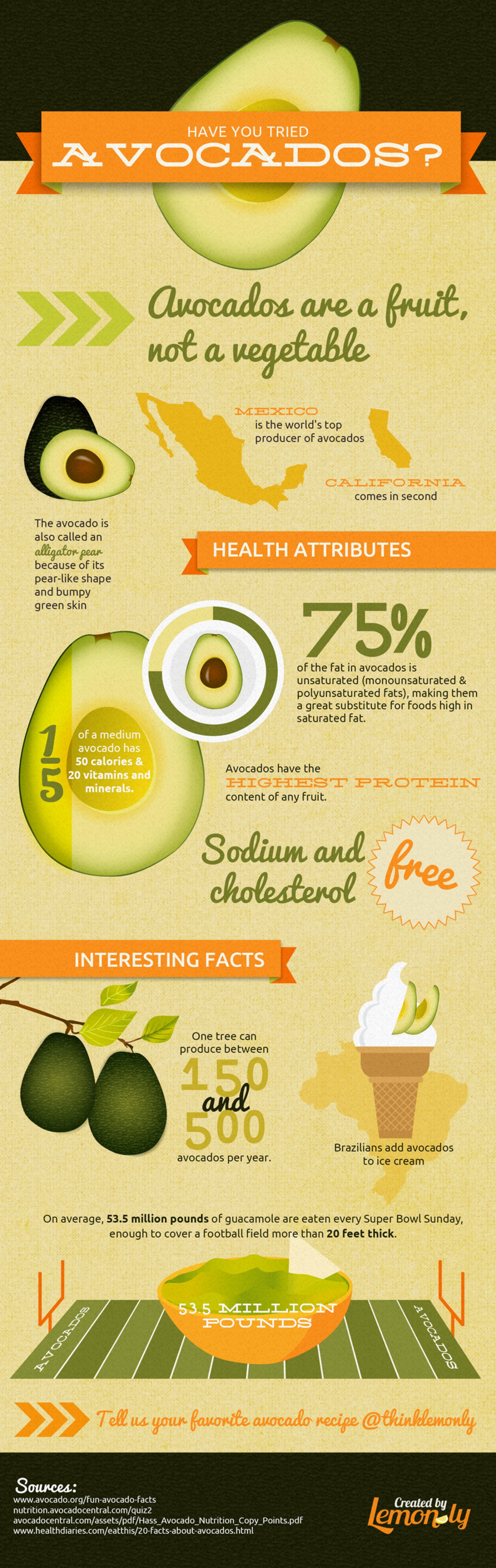 facts about avocados