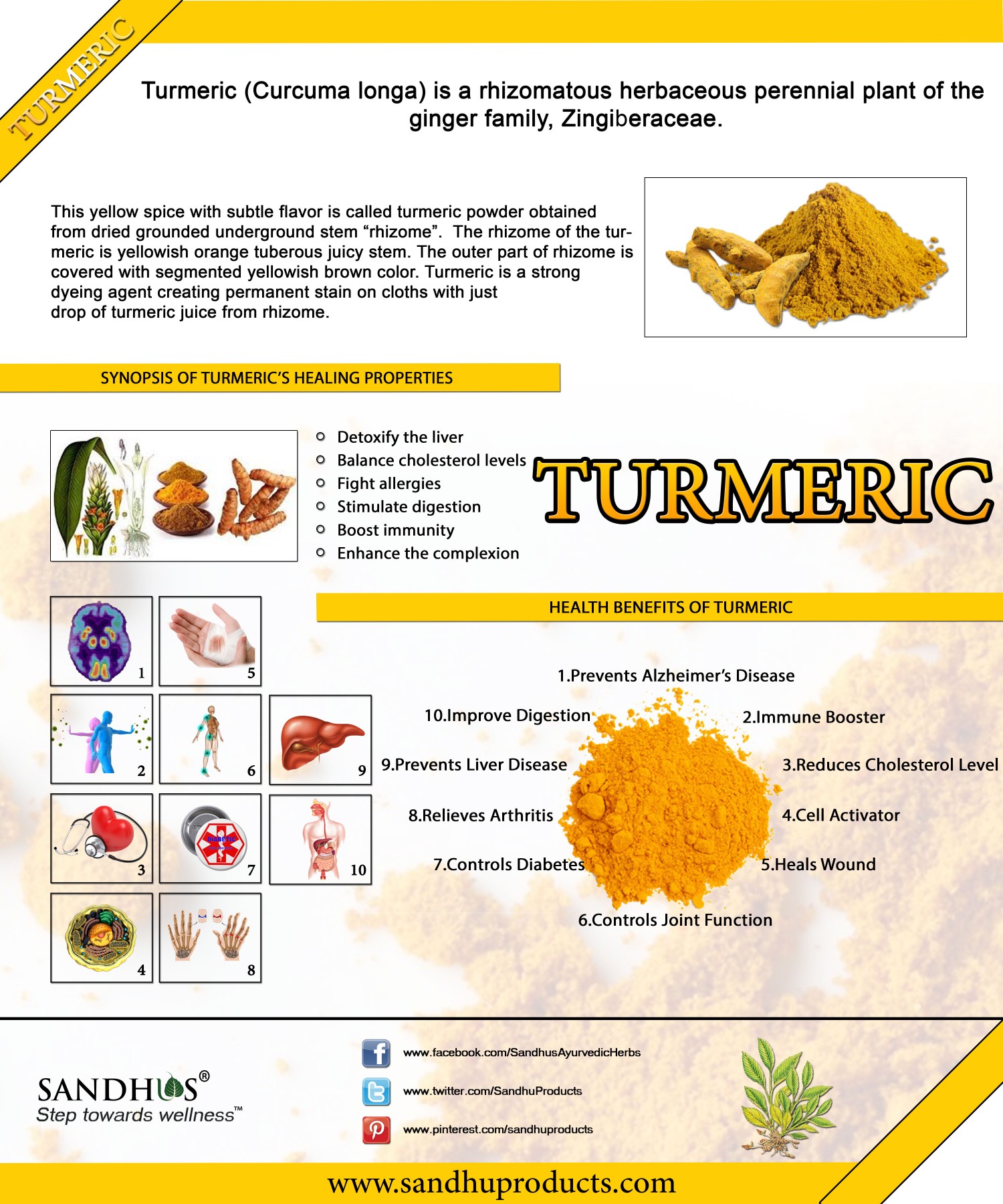 the health benefits of turmeric