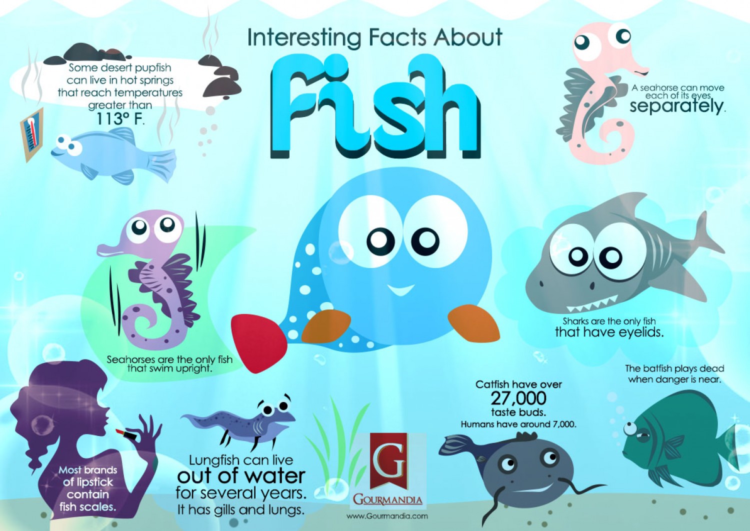 interesting facts about fish
