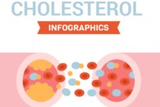 Is Cholesterol Healthy?