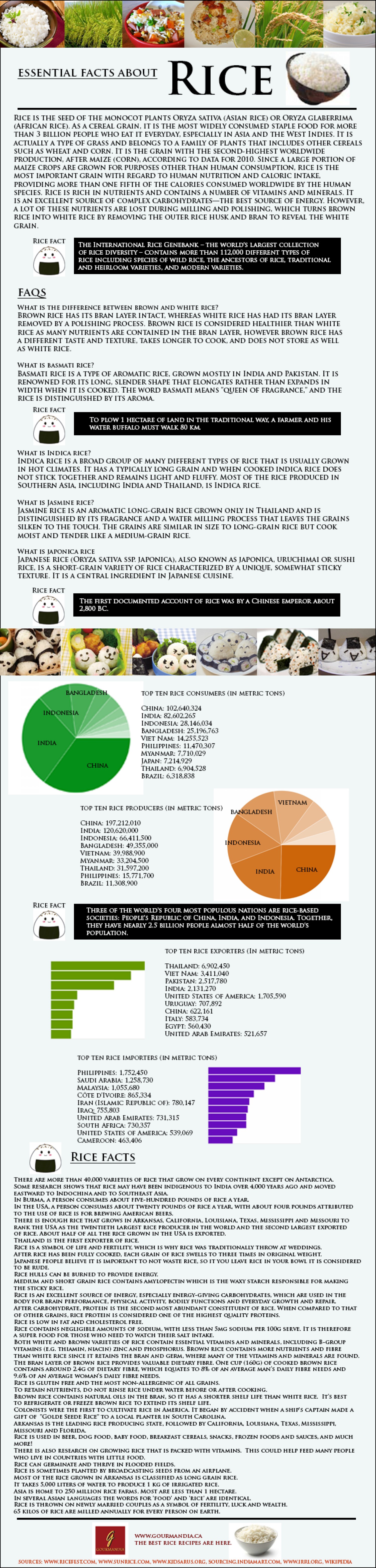 facts about rice