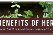 The Benefits of Herbs