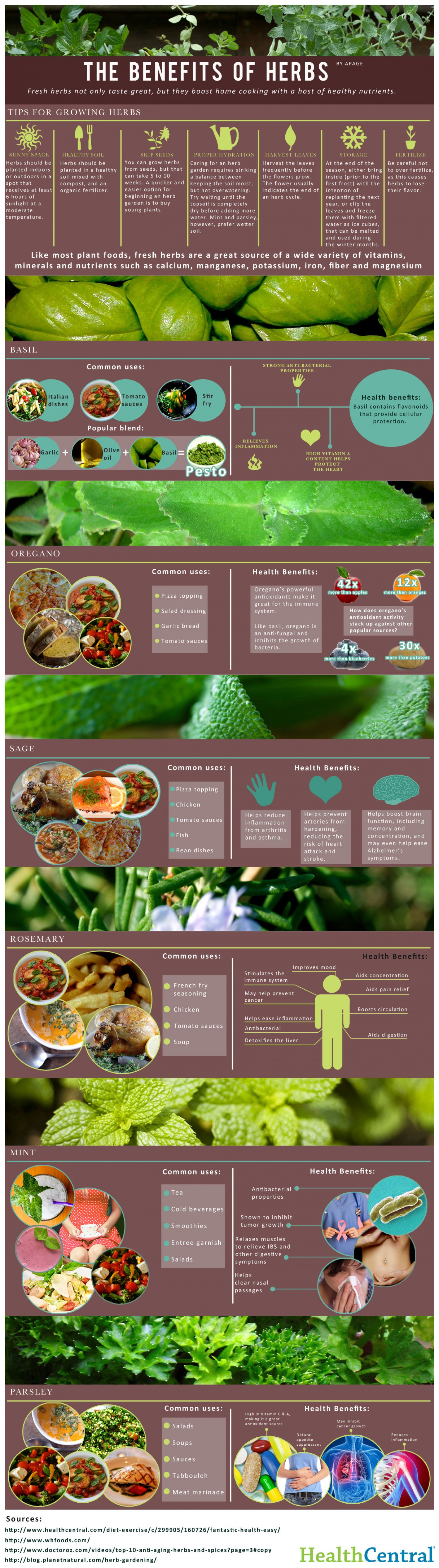 benefit of herbs