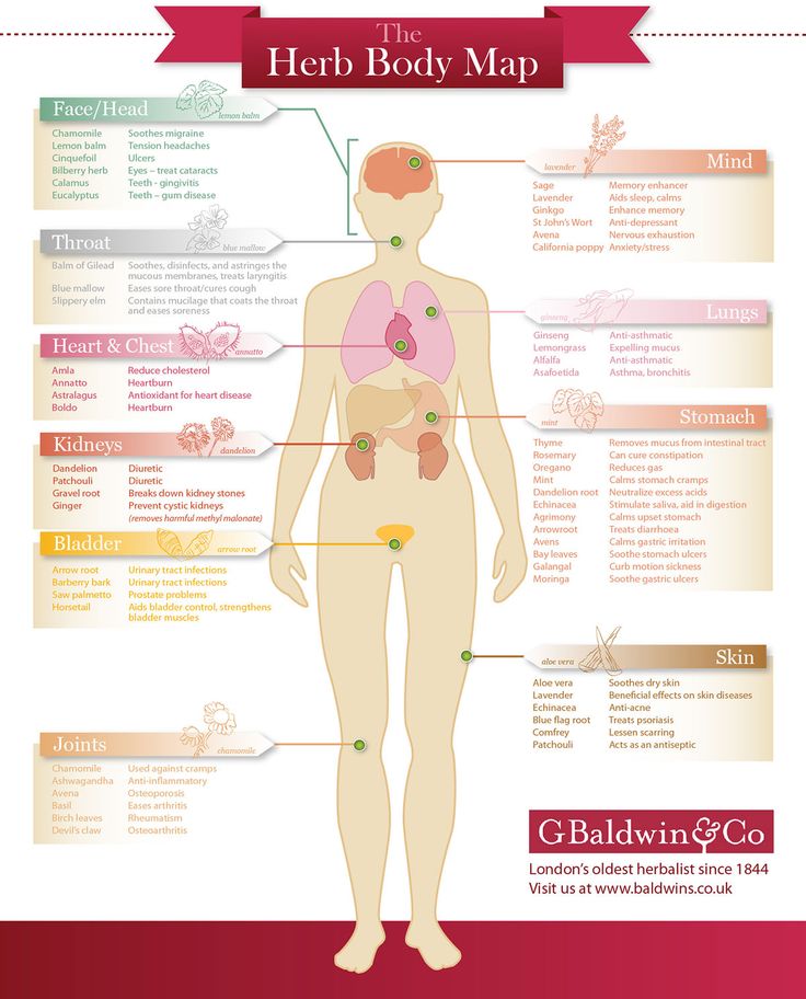 the herb body map