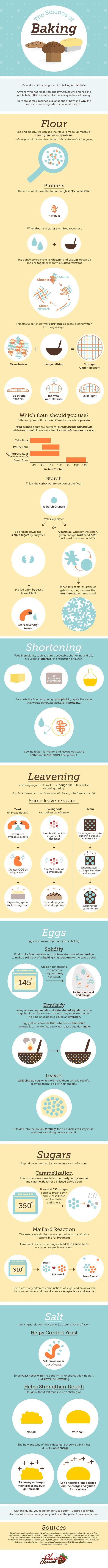 science of baking