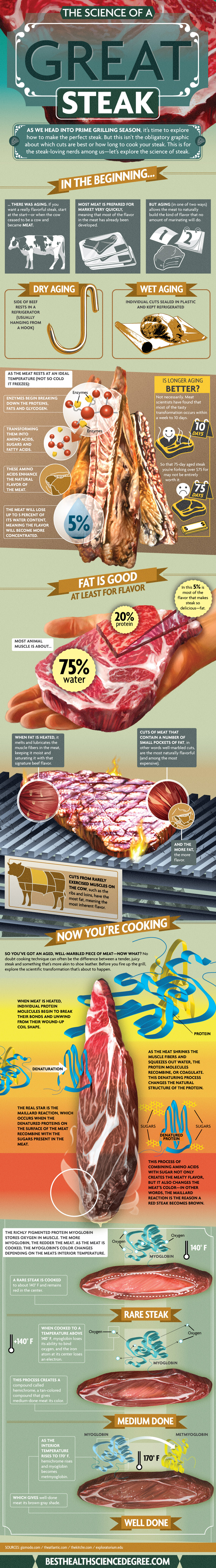 science of a great steak