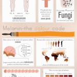 50 Incredible Facts About Your Skin