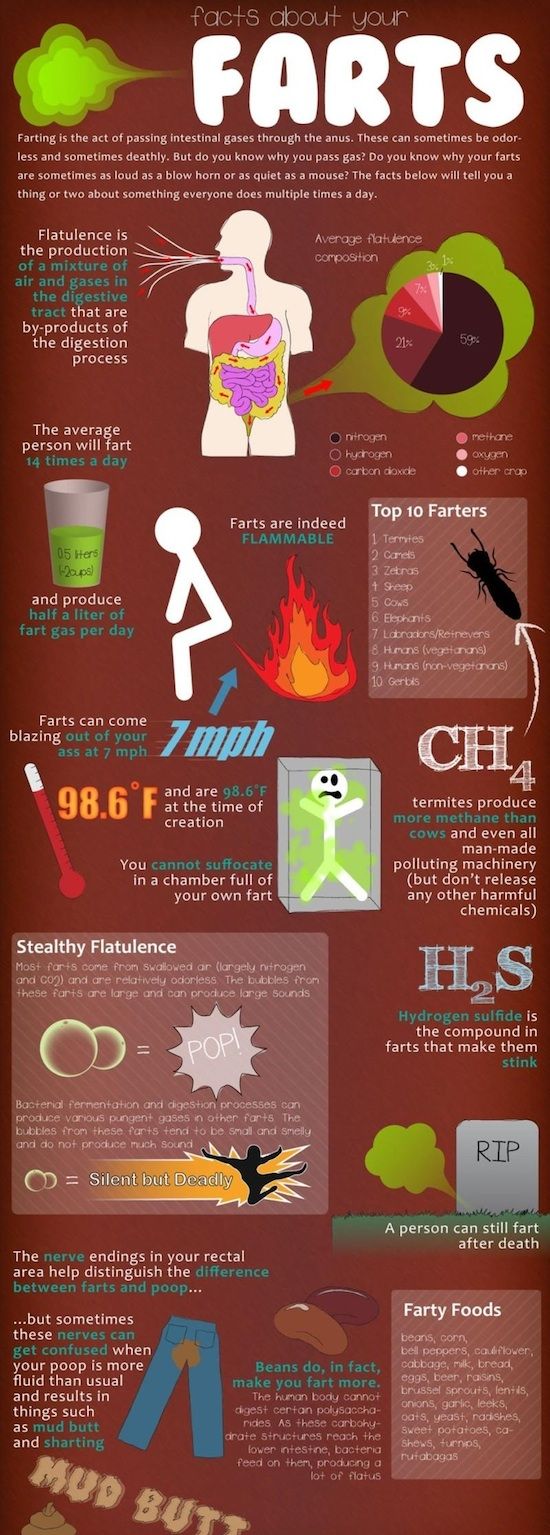facts about your farts