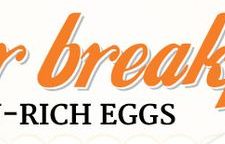 Best Breakfast with Protein-Rich Eggs