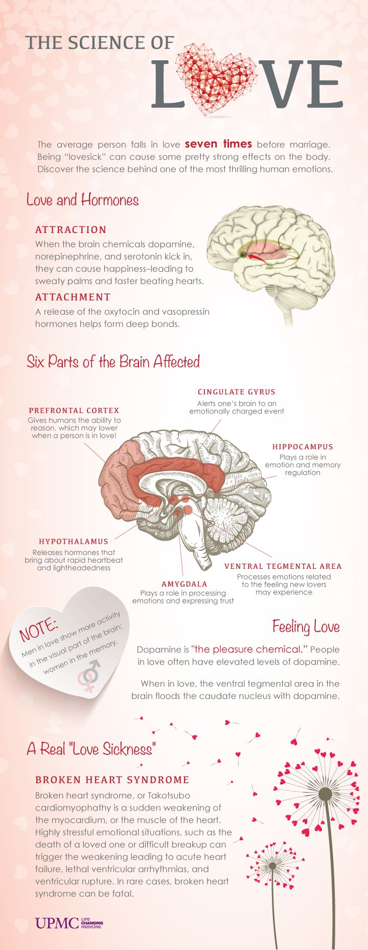 the science of love