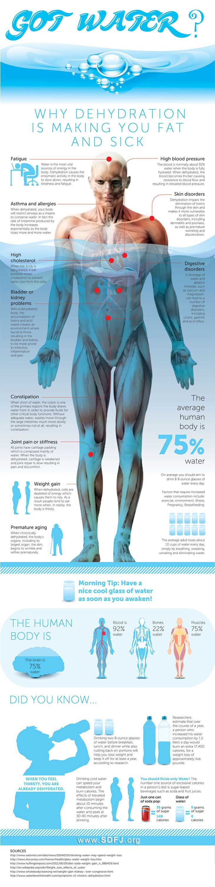 why dehydration is making you fat and sick