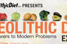 The Paleolithic Diet Ancient Answers to Modern Problems Explained