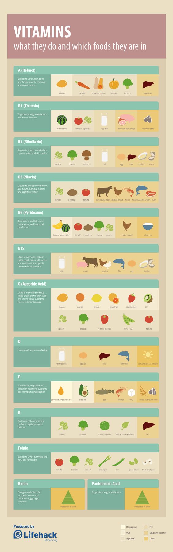 guide to vitamin d