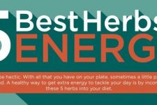 The Best 5 Herbs To Boost Your Energy