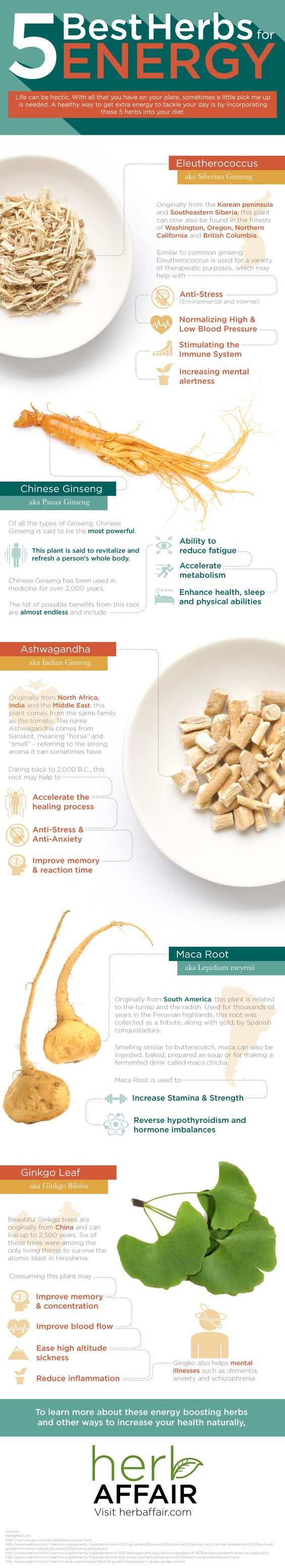 5 best herbs for energy
