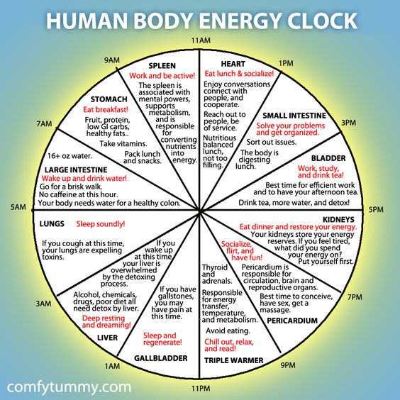 human body energy clock