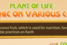 The Truth About Coconut Oil