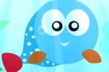Interesting Facts About Fish