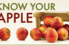 Know Your Apple