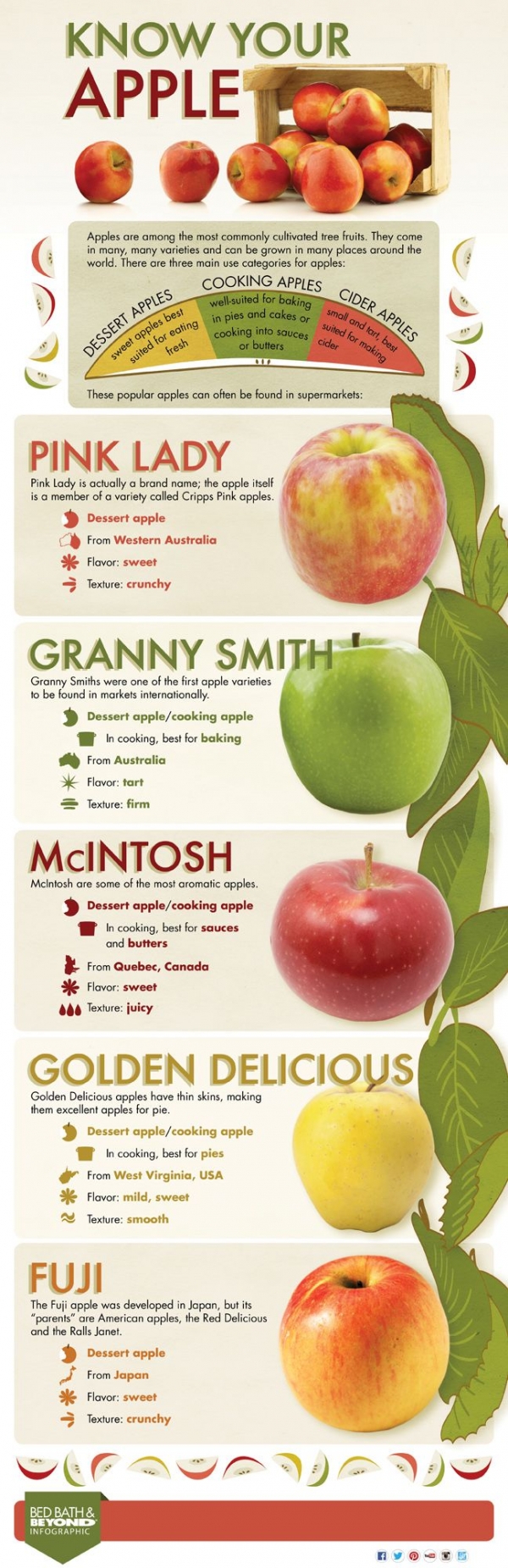know your apple