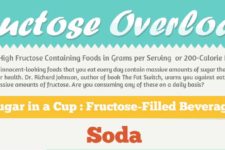 Fructose Overload