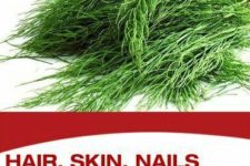 Hair, Skin, Nails & Horsetail