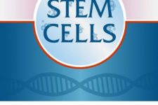 What Are Stem Cells?
