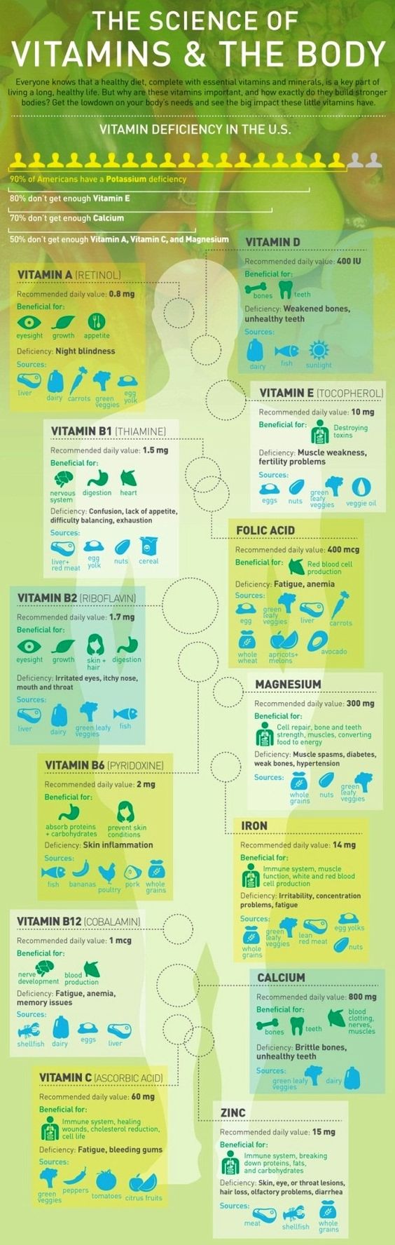 The Science of Vitamins