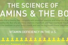 The Science of Vitamins & The Body