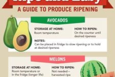 Ripe & Easy -A Guide to Produce Ripening