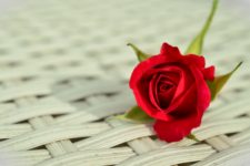 What is the Deal with The Bachelor and Why Does Everyone Care?